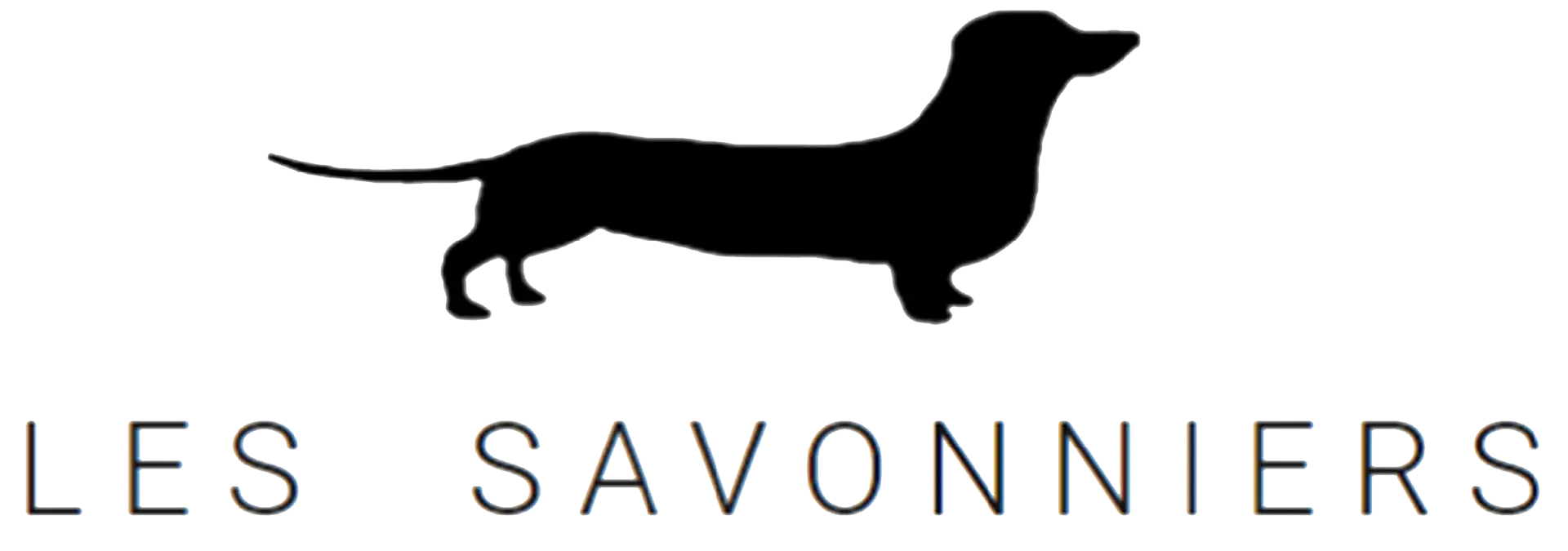 logo les savonniers